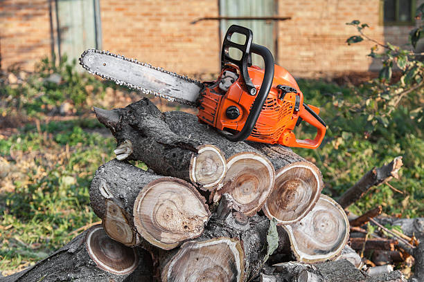 Tree Removal for Businesses